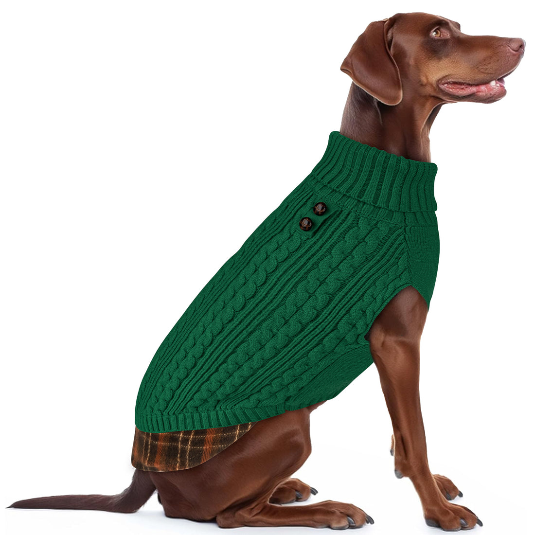 Green cable-knit turtleneck dog sweater with ribbed collar and hem