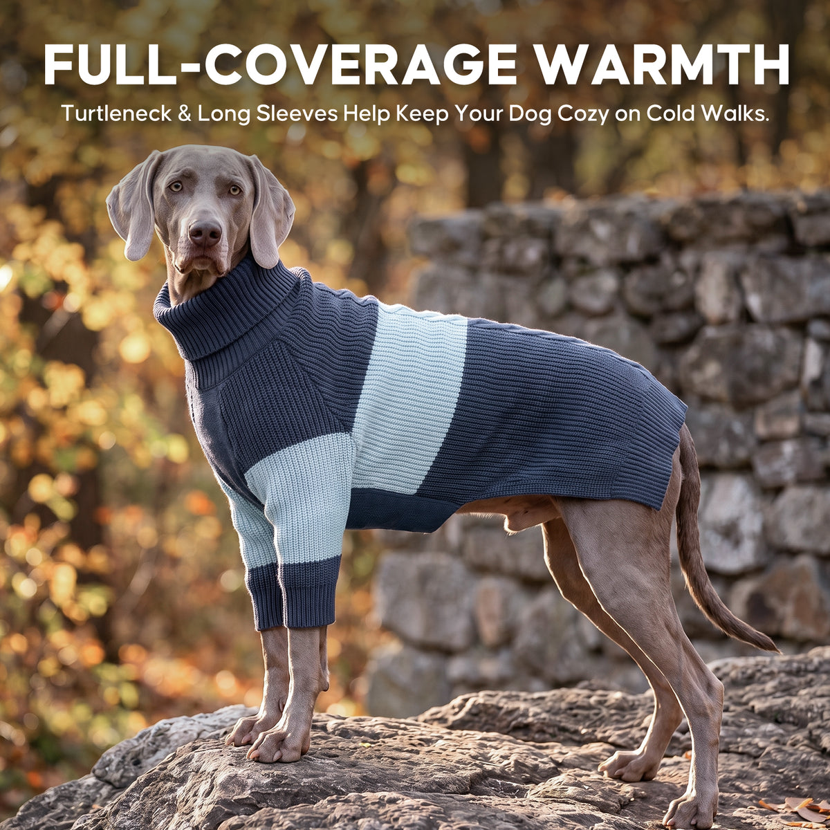 Blue Color Block Dog Turtleneck Sweater