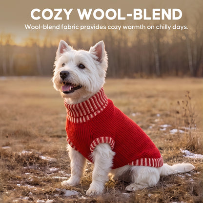 Red Thick Wool Dog Sweater