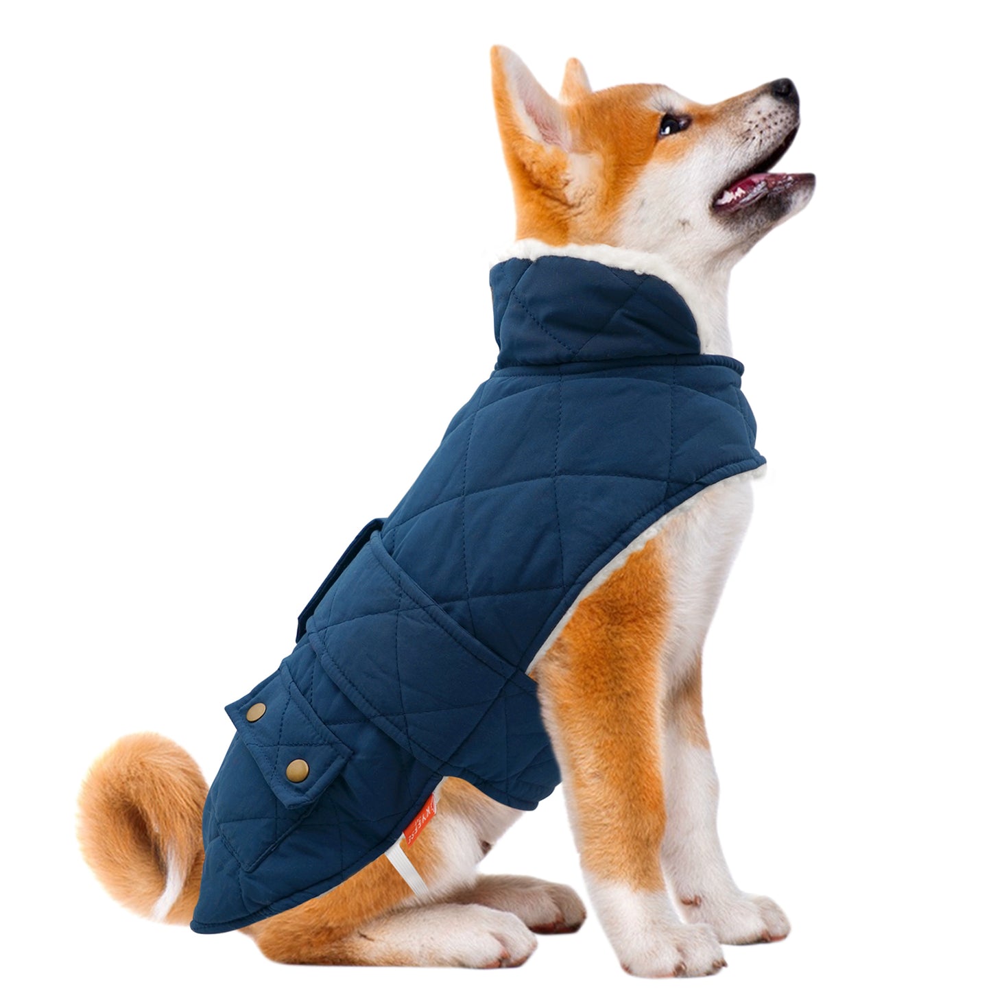 Warm Winter Dog Coat