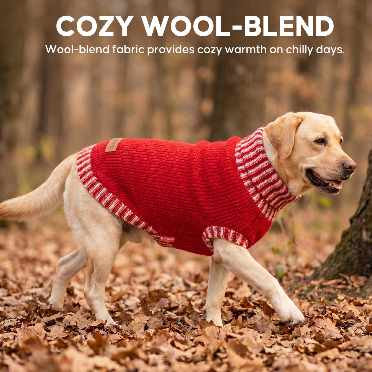 Red Thick Wool Dog Sweater