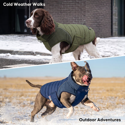 Green Waterproof Lined Dog Coat - Green coat gallery image 11