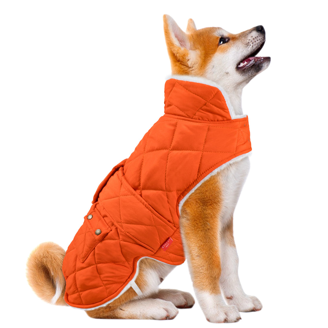 Quilted windproof dog coat with pocket in bright orange with hood and front pockets