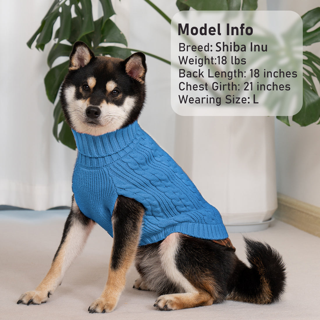 Blue dog turtleneck sweater with cable knit texture and ribbed collar