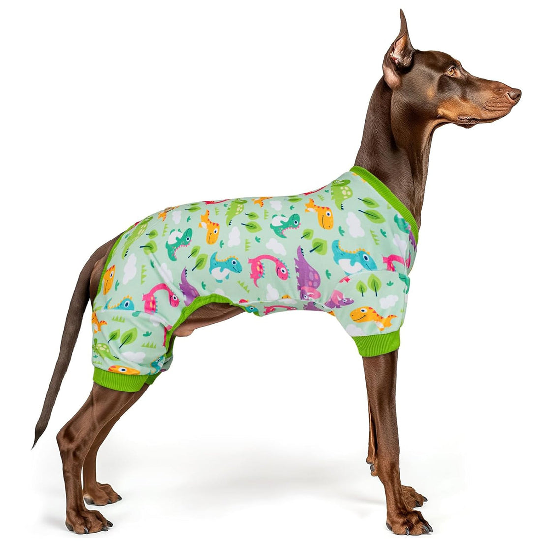 Dinosaur-print dog onesie pajamas in light aqua with green ribbed cuffs