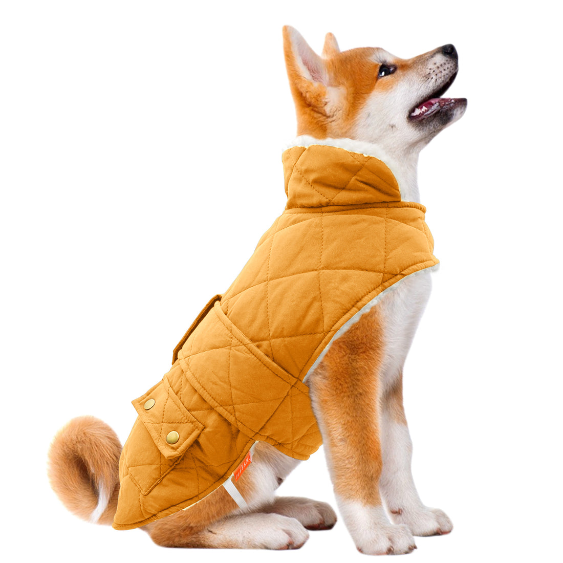 Yellow quilted dog coat with hood and sherpa-lined interior on sitting dog.