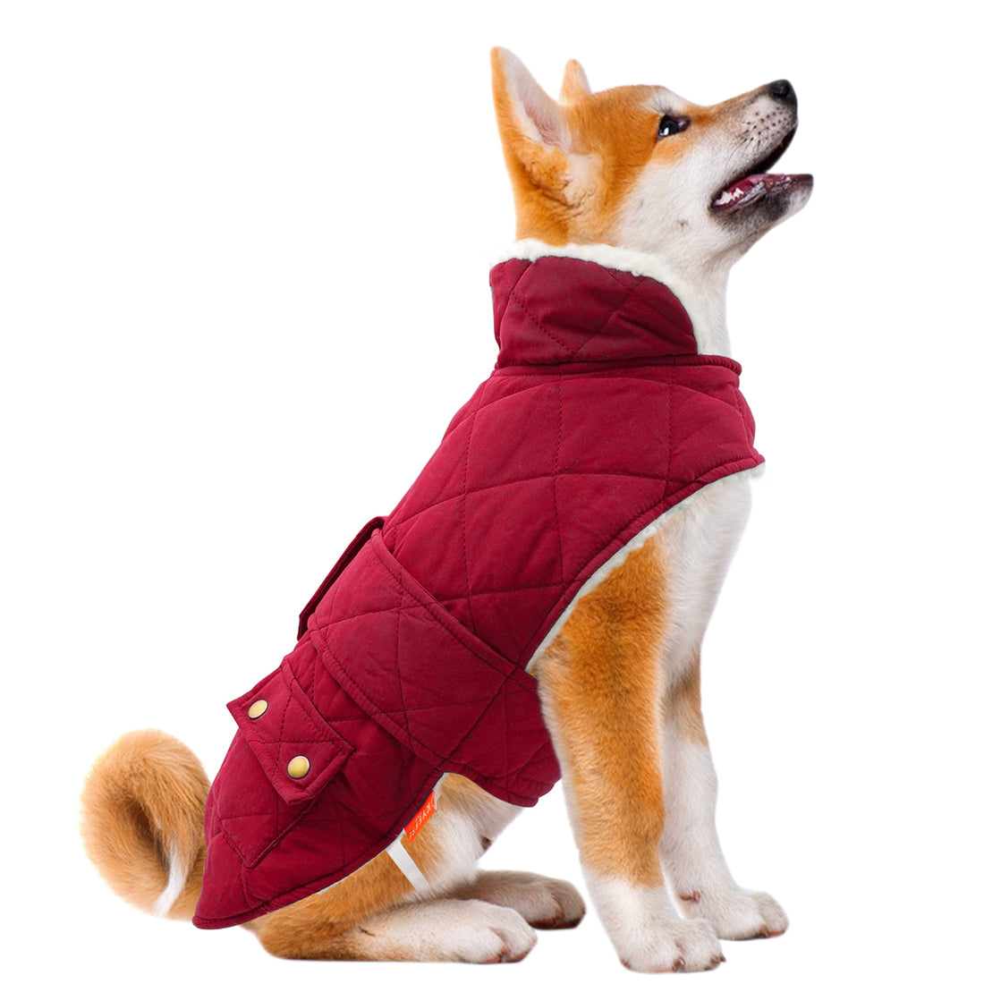 Red quilted windproof dog coat with hood and front pockets, worn by a dog