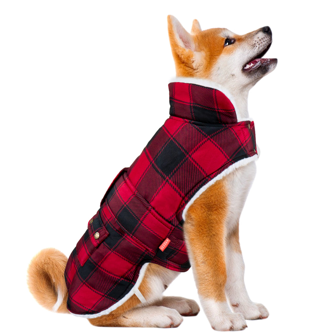 Plaid windproof dog coat with hood and padded lining, red and black