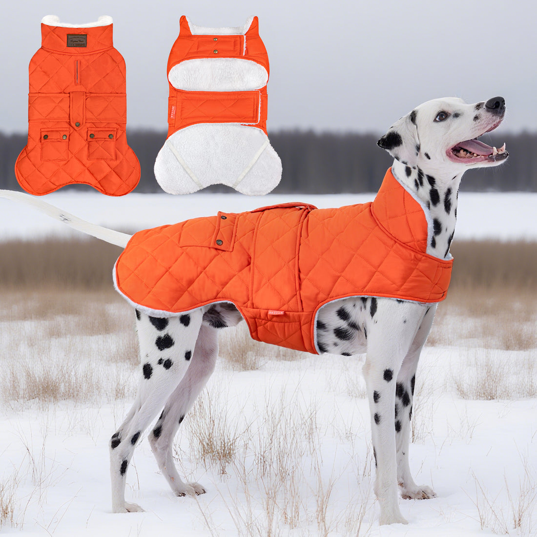 Quilted windproof dog coat with hood and pockets, orange, shown on a standing dog