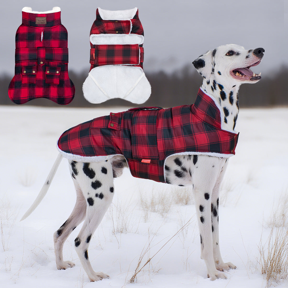 Red and black plaid quilted dog coat with pocket, hooded style, elastic leg straps