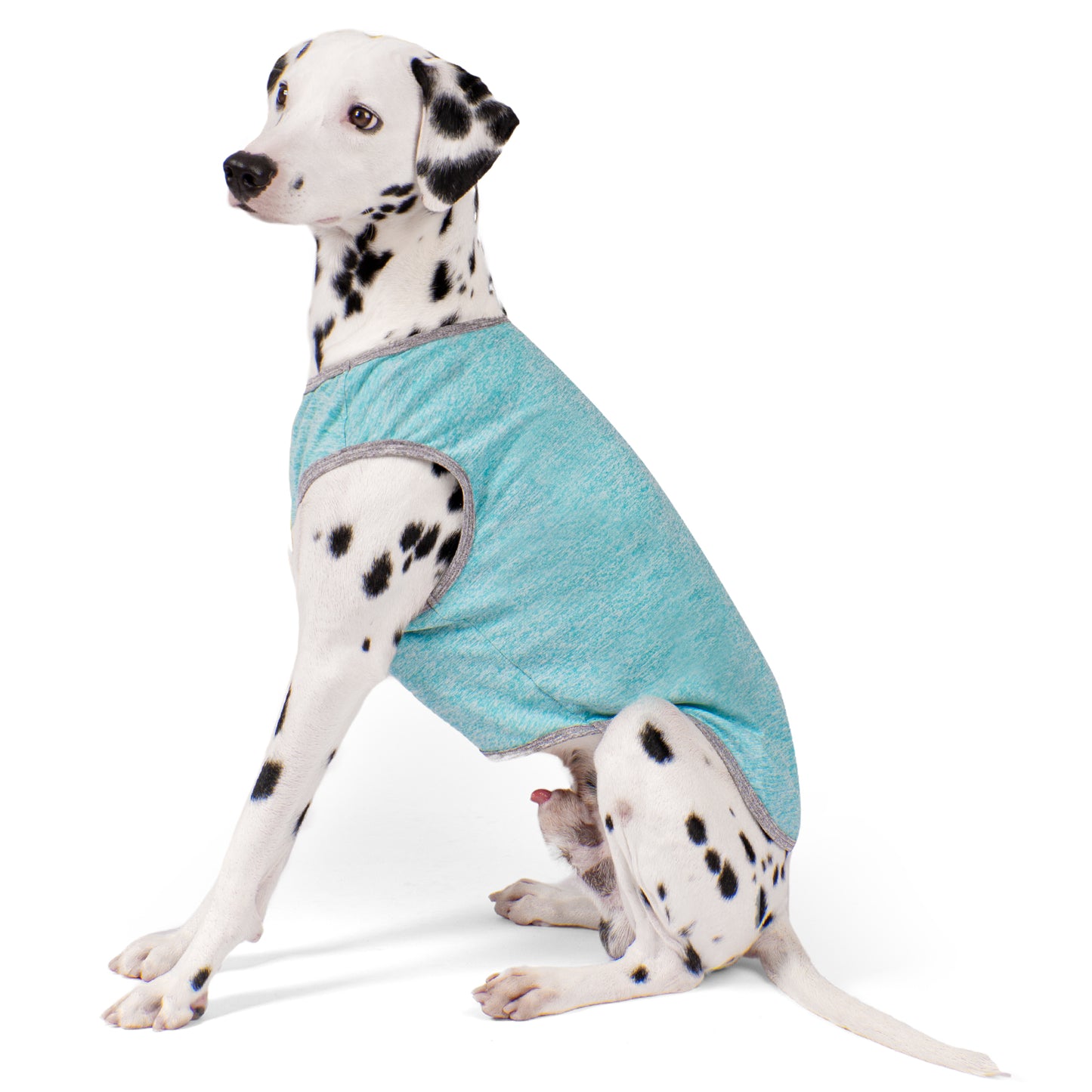 Teal sleeveless dog shirt with bone logo, breathable knit design