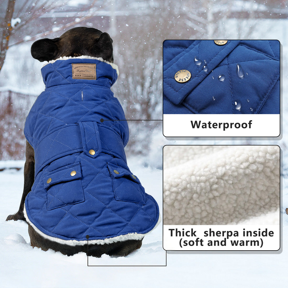 Blue quilted dog coat with hood, front zipper, and sherpa lining inside