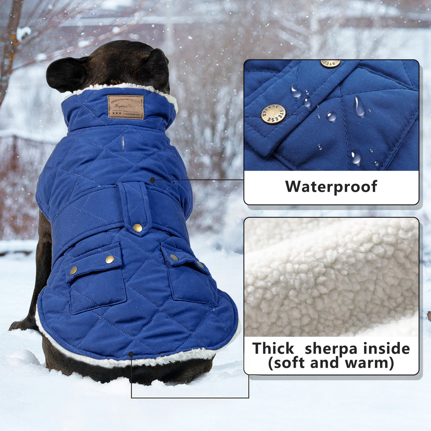Blue quilted dog coat with hood, front zipper, and sherpa lining inside