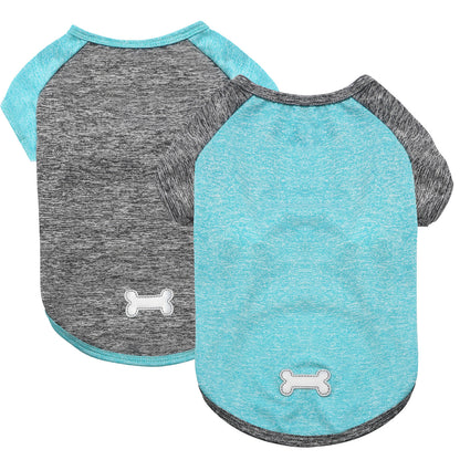 Two lightweight dog shirts with raglan sleeves, heather gray and light blue, bone logo.