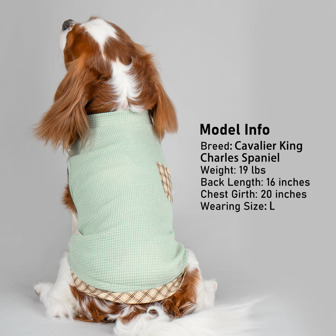 Light green sleeveless dog shirt with tan plaid pocket and plaid hem