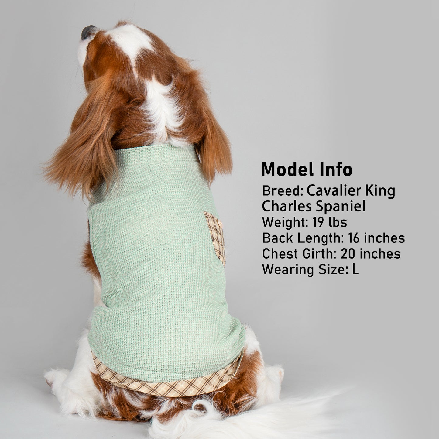Light green sleeveless dog shirt with tan plaid pocket and plaid hem