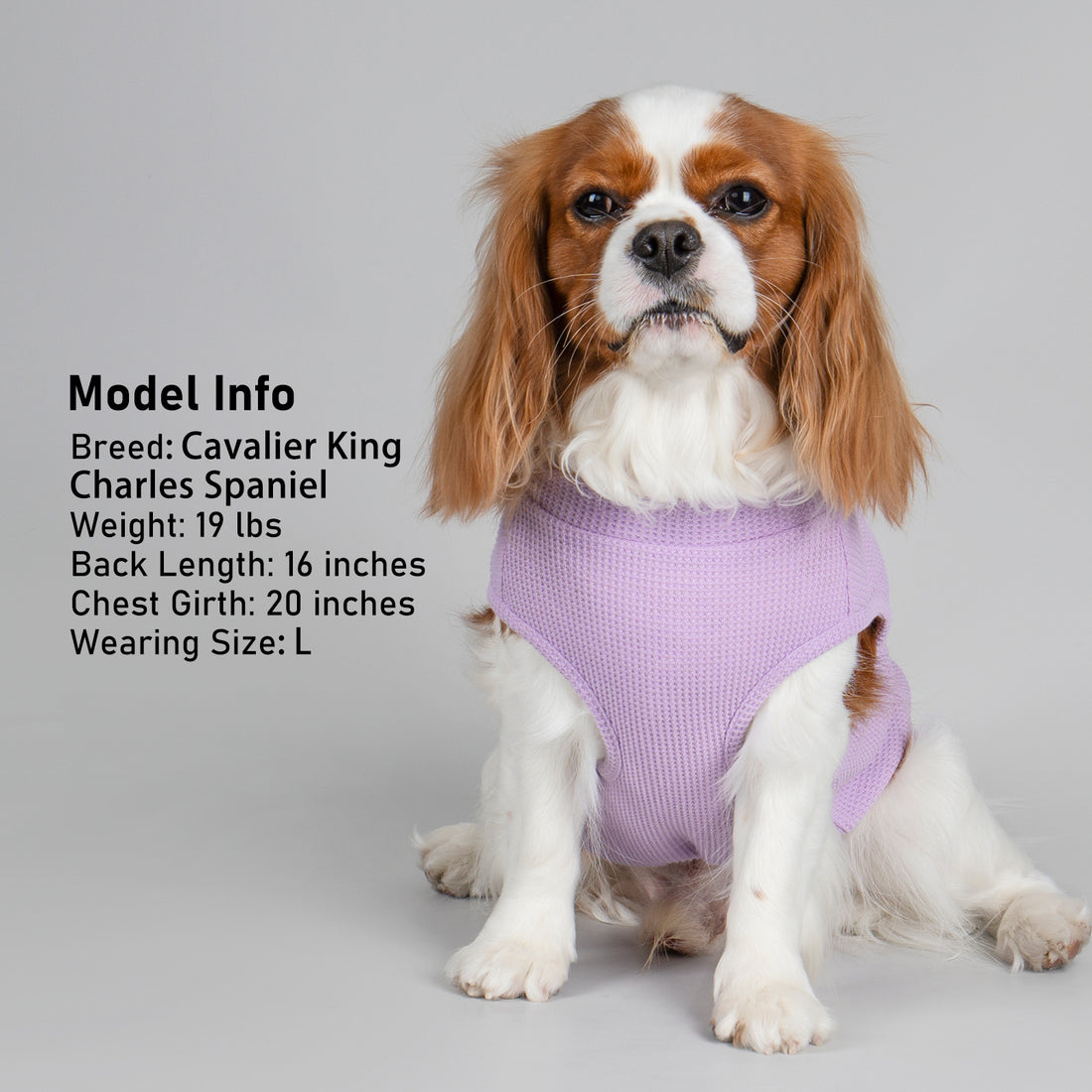 Purple waffle knit sleeveless dog shirt with plaid pocket and plaid hemline