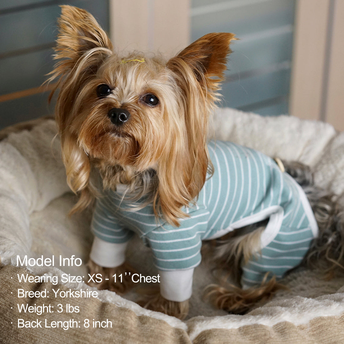 Teal striped dog onesie pajamas with front belly cutout and white leg openings