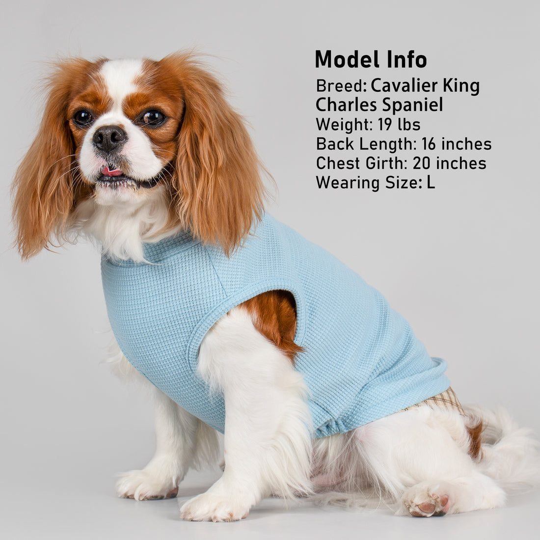 Blue waffle knit sleeveless dog shirt with plaid pocket and plaid hemline