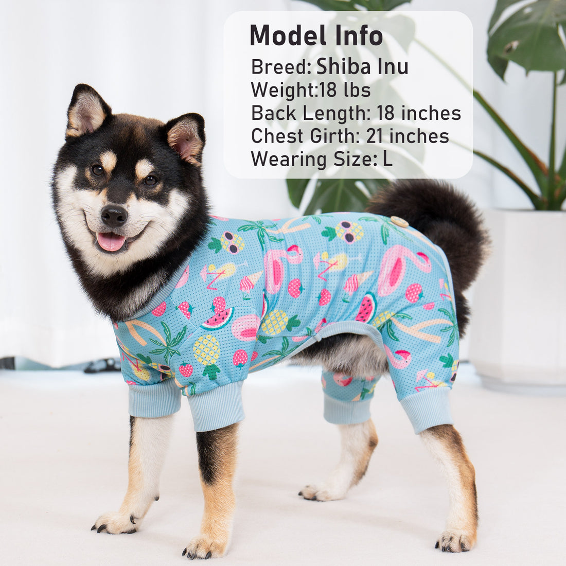Sky-blue dog onesie pajamas with colorful fruit and animal print, elastic leg cuffs