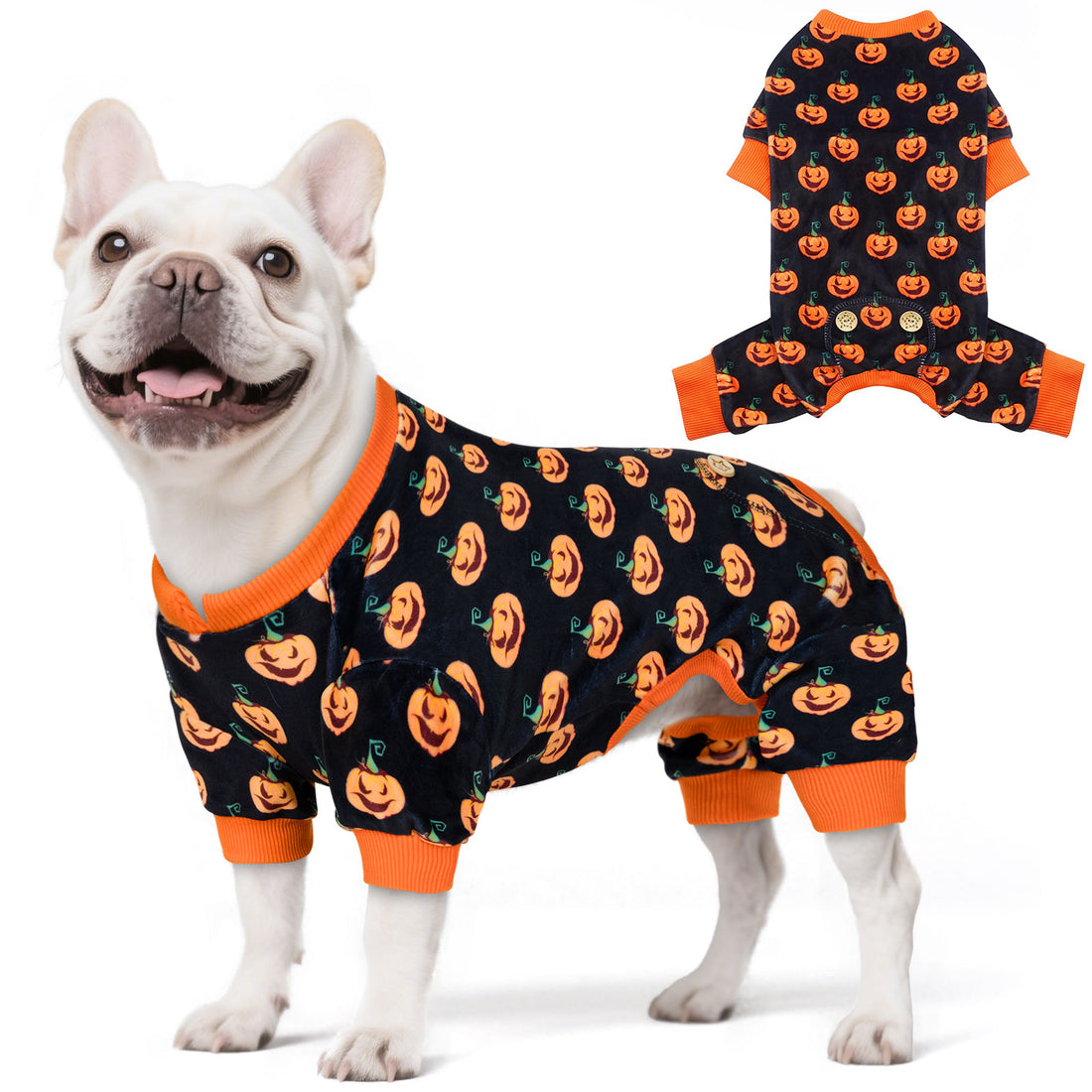 Dog Halloween pajamas on dark navy with orange pumpkin print and orange ribbed cuffs