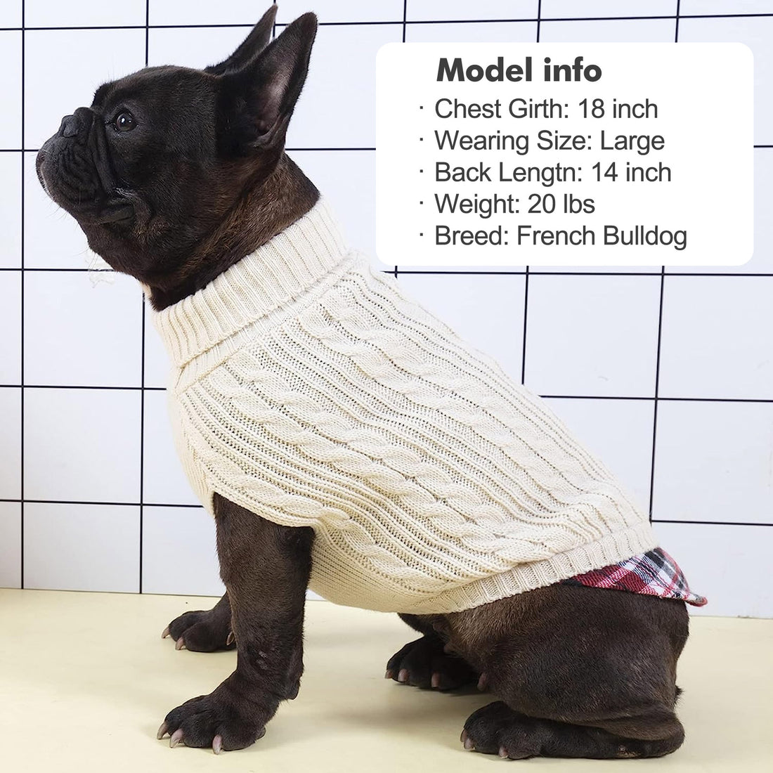 Creamy white cable knit dog turtleneck sweater with plaid lining at hem