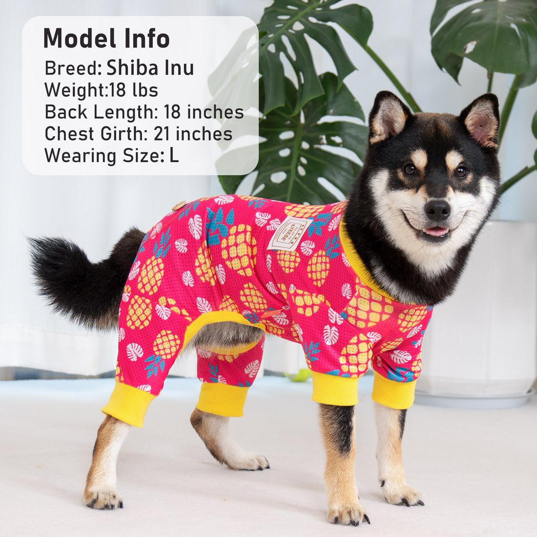 Red dog onesie with yellow cuffs and pineapple fruit pattern, full-body view