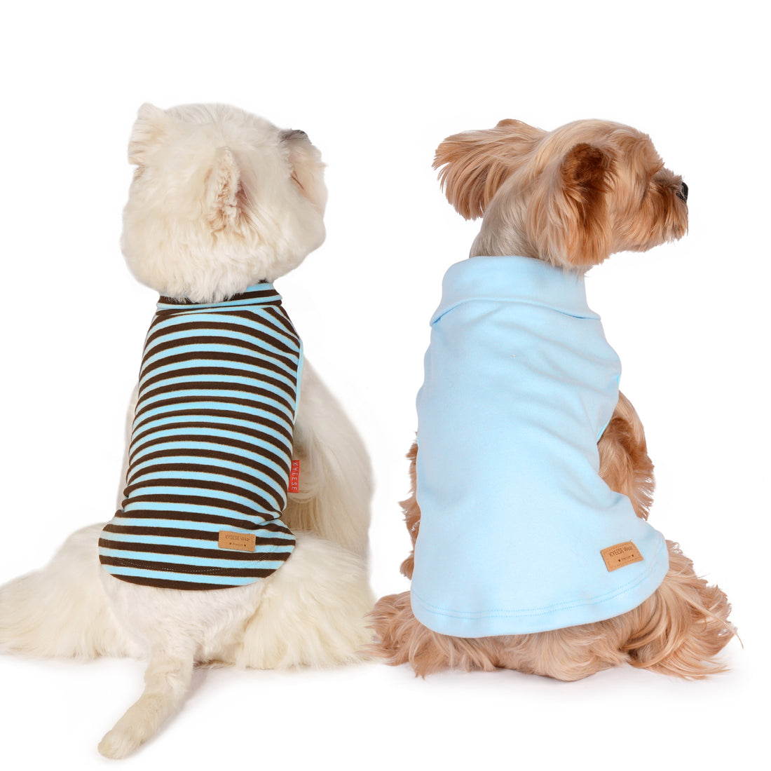 Dog sleeveless velvet sweater 2-pack from behind: striped tank and solid light blue tank
