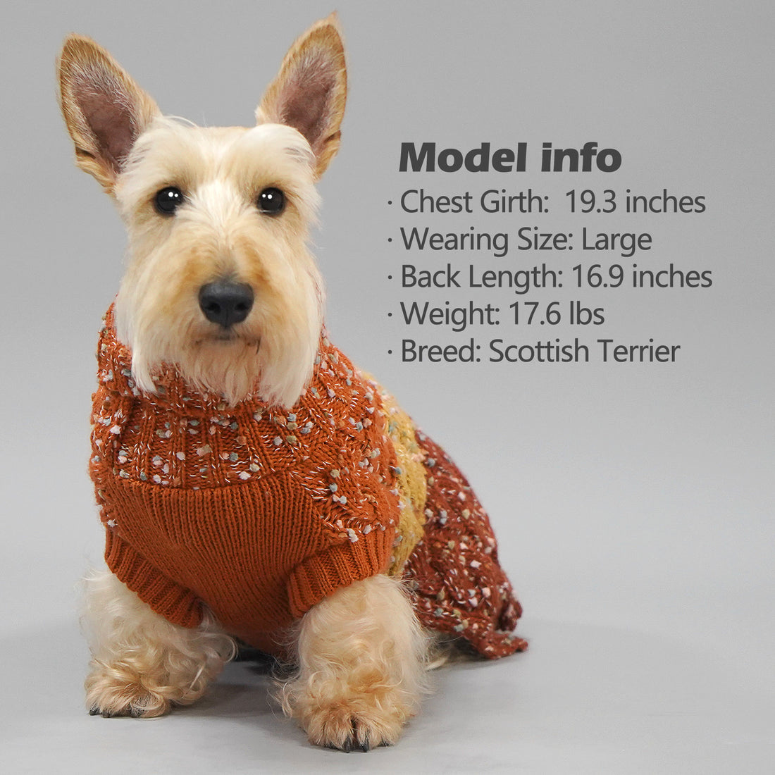 Orange speckled dog sweater with tan cable knit accents and ribbed turtleneck
