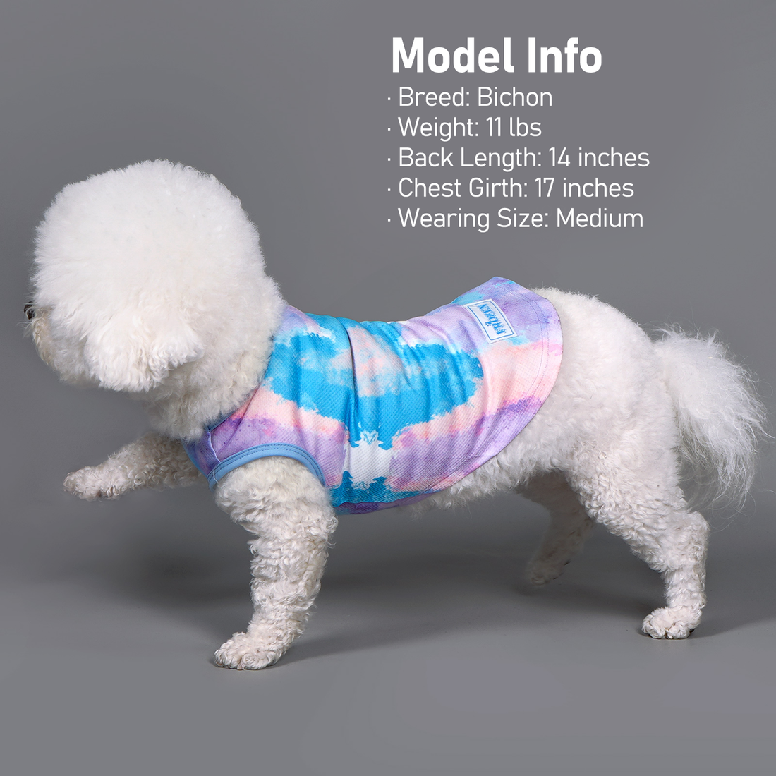 Dog cooling shirt, tie-dye blue and purple with yellow trim and chest tag.