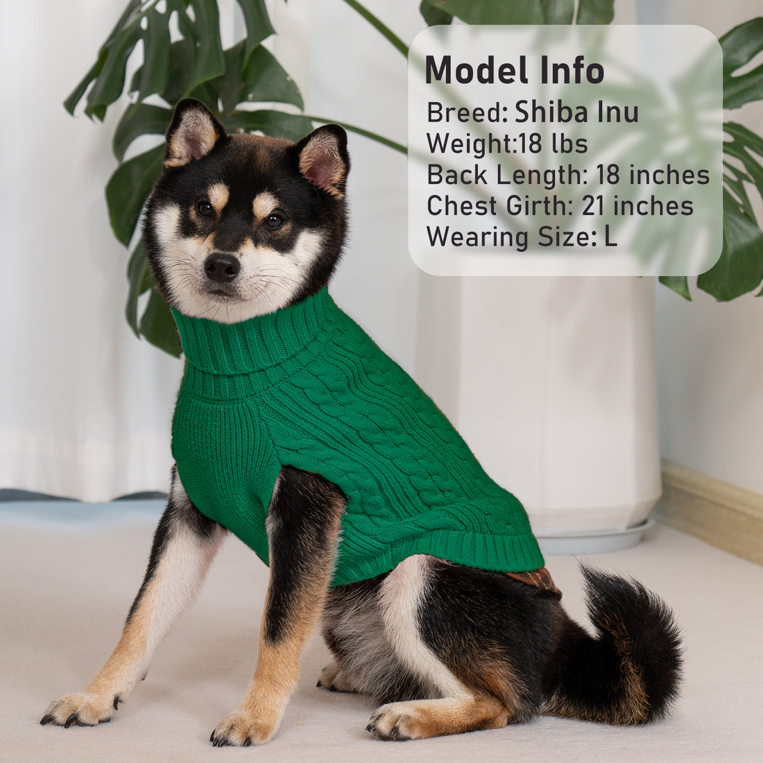 Green turtleneck dog sweater with cable-knit texture and ribbed collar, on dog