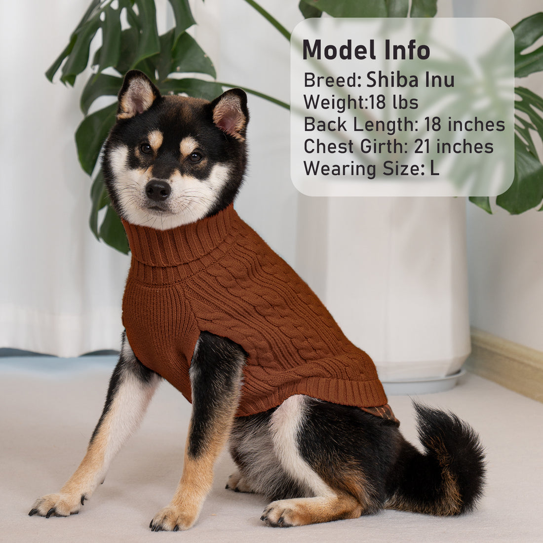 Brown turtleneck dog sweater with cable-knit pattern and ribbed hem, worn on dog