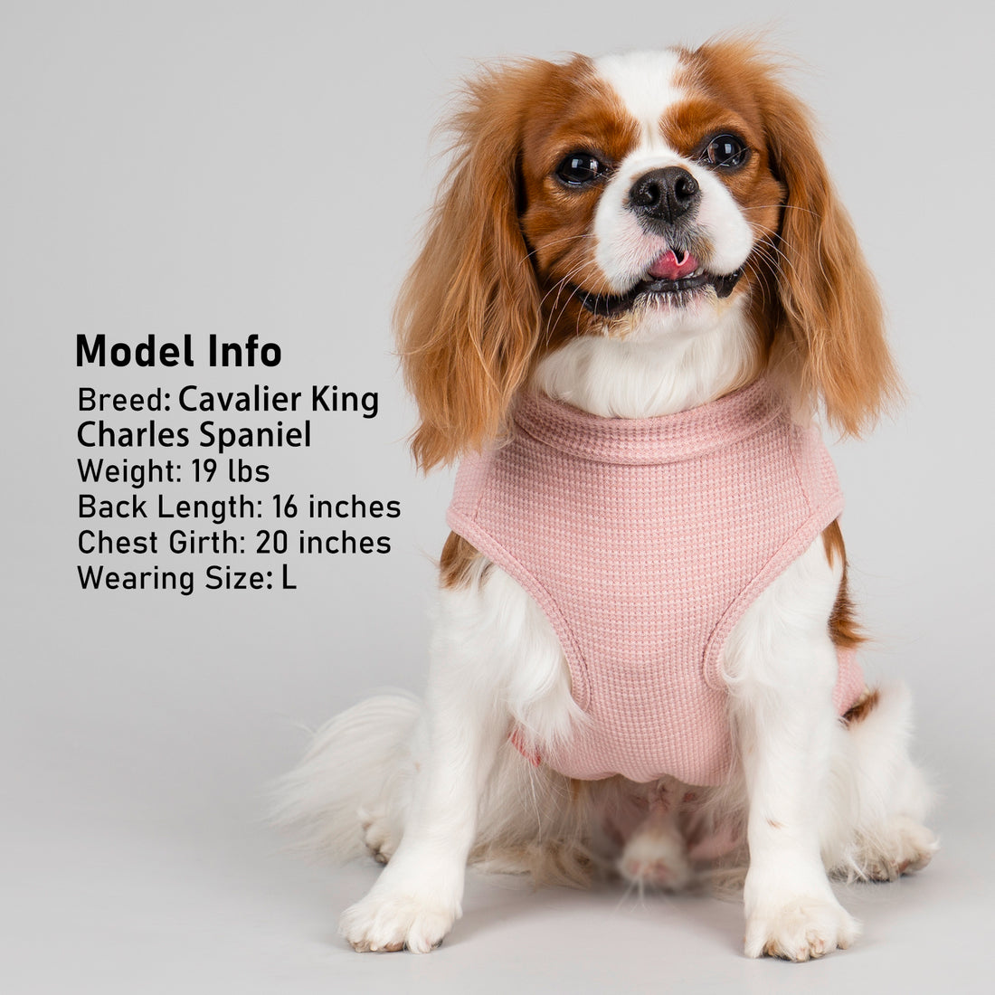 Pink sleeveless dog shirt with round neck and small plaid pocket