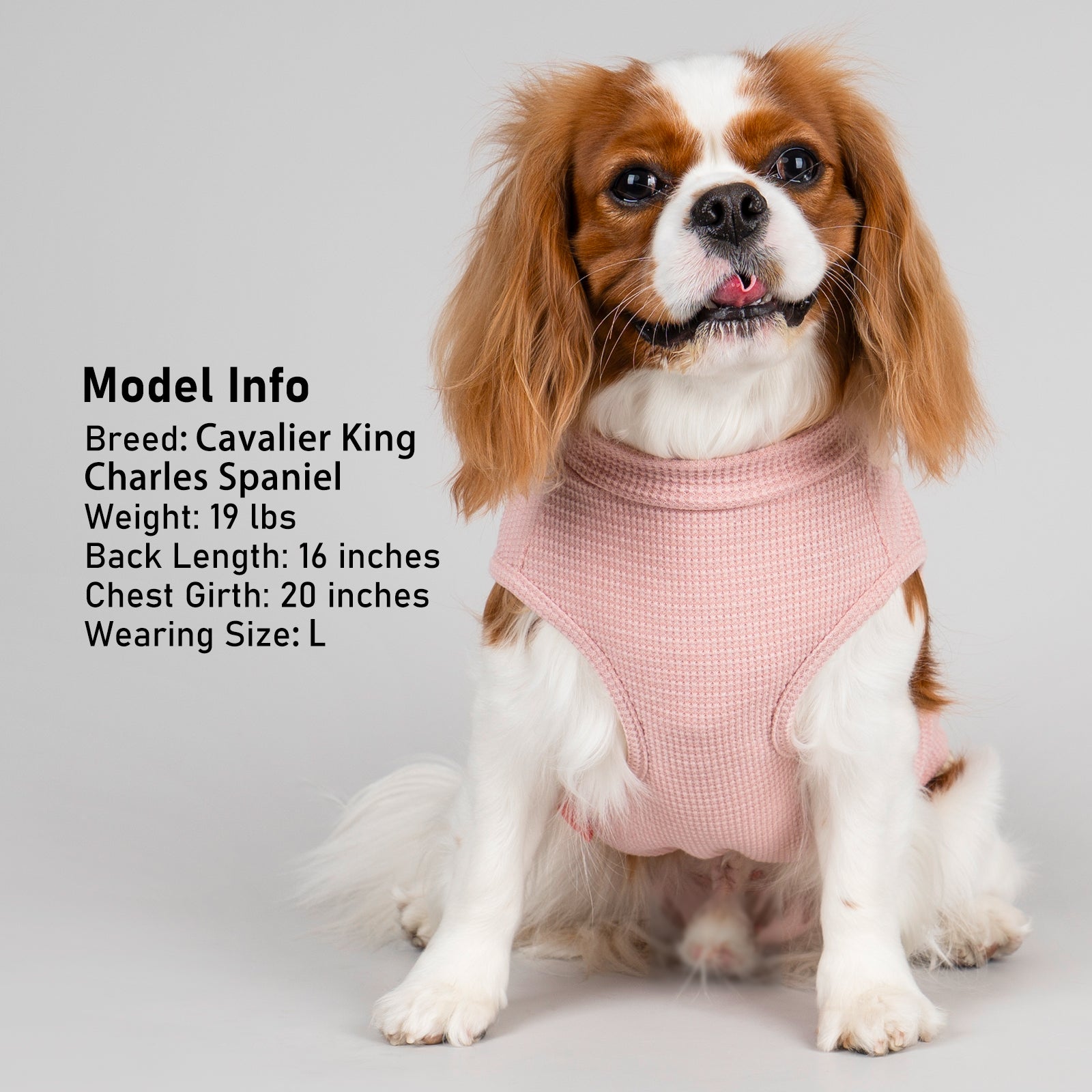 Pink sleeveless dog shirt with round neck and small plaid pocket