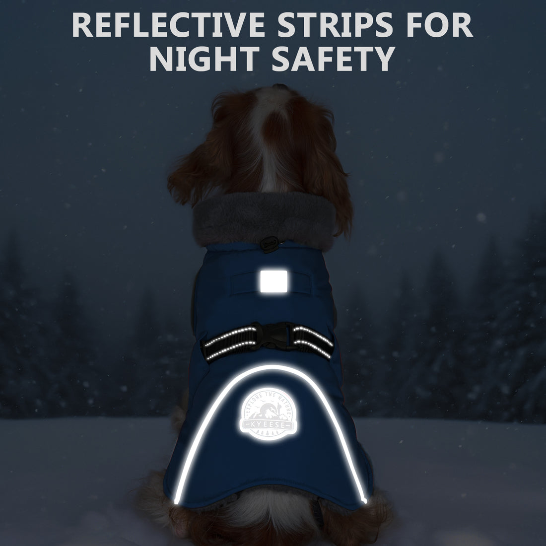 Blue dog coat with reflective white night-safety strips across the back