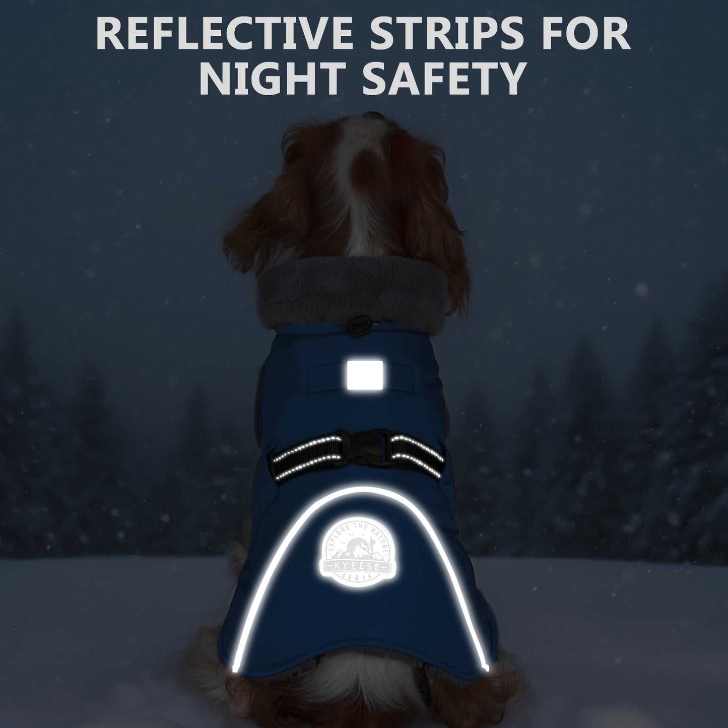 Blue dog coat with reflective white night-safety strips across the back