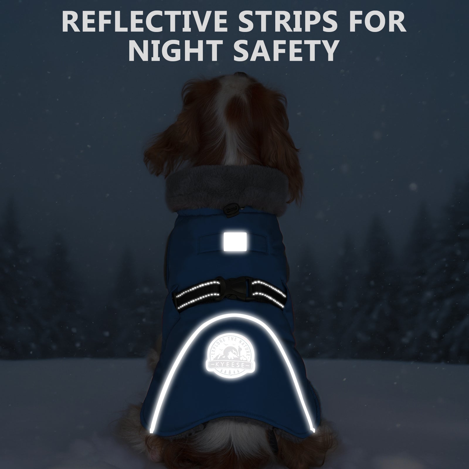 Blue dog coat with reflective white night-safety strips across the back