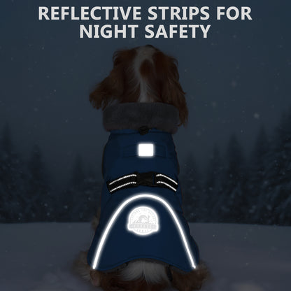 Blue dog coat with reflective white night-safety strips across the back