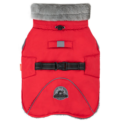 Red fleece-lined dog coat front view with grey fur collar and black harness strap