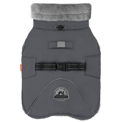 Fleece-lined windproof winter dog coat in gray with faux-fur collar and adjustable chest strap.