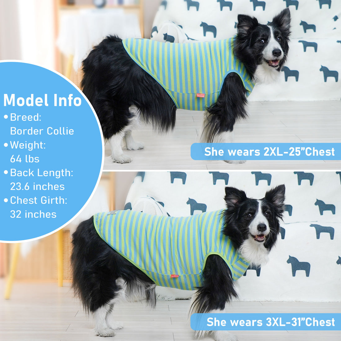 Green and blue striped sleeveless dog shirt with gray bone patch