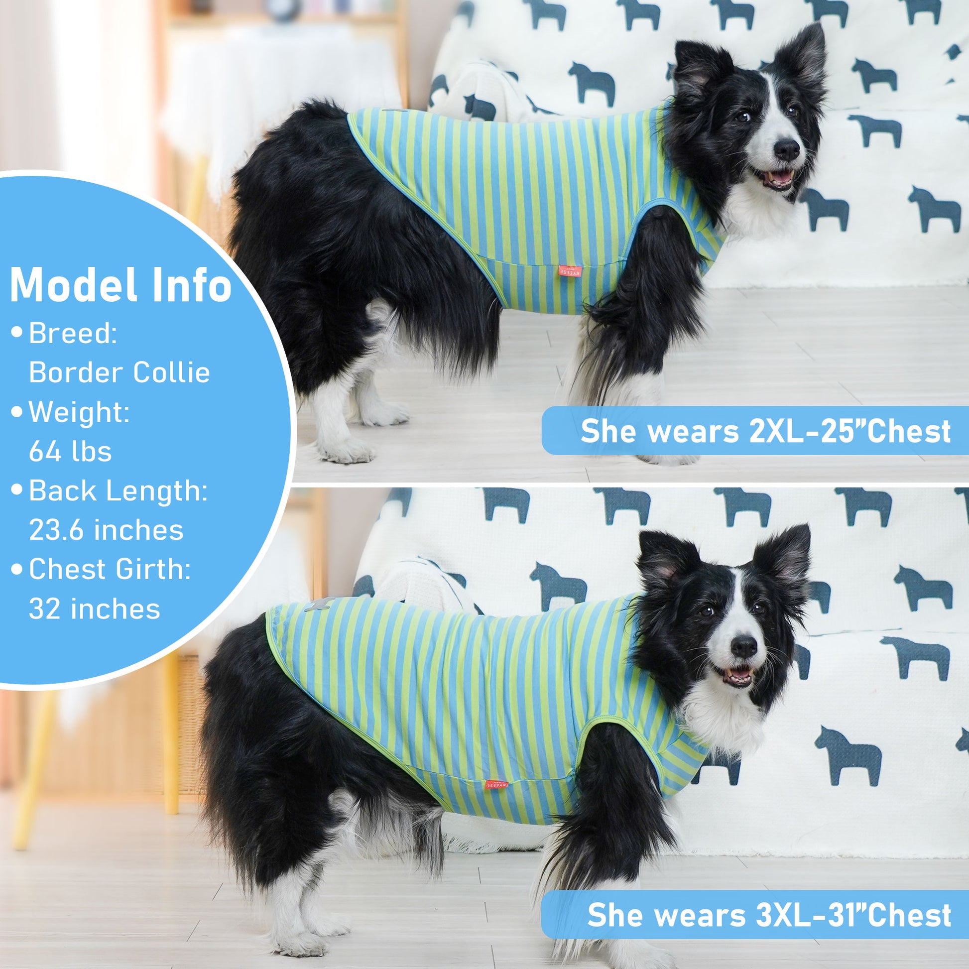 Green and blue striped sleeveless dog shirt with gray bone patch