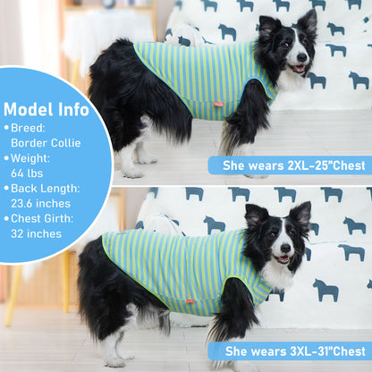 Green and blue striped sleeveless dog shirt with gray bone patch
