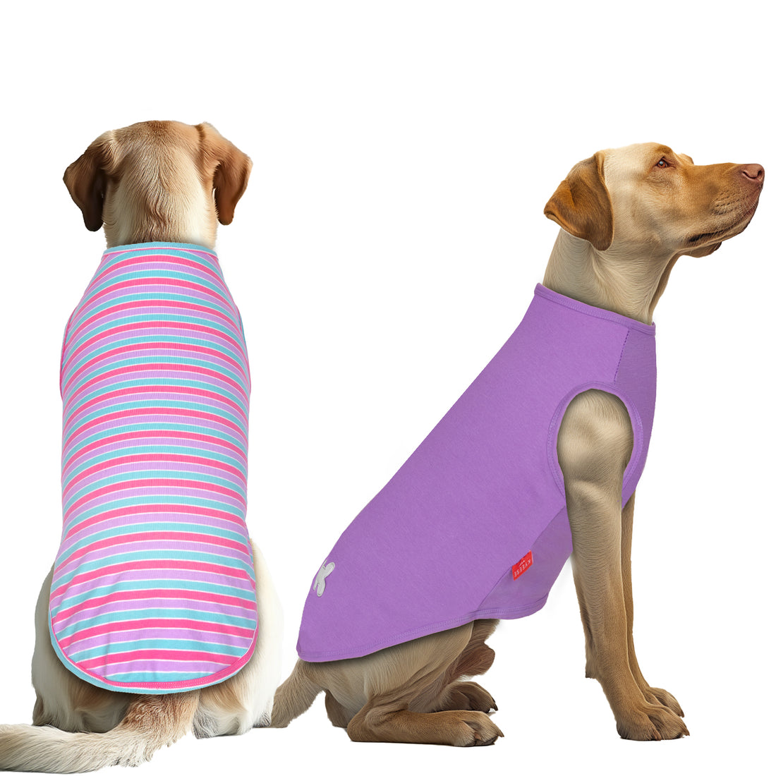 Two-pack dog shirts on dogs: teal-and-pink striped and solid purple sleeveless