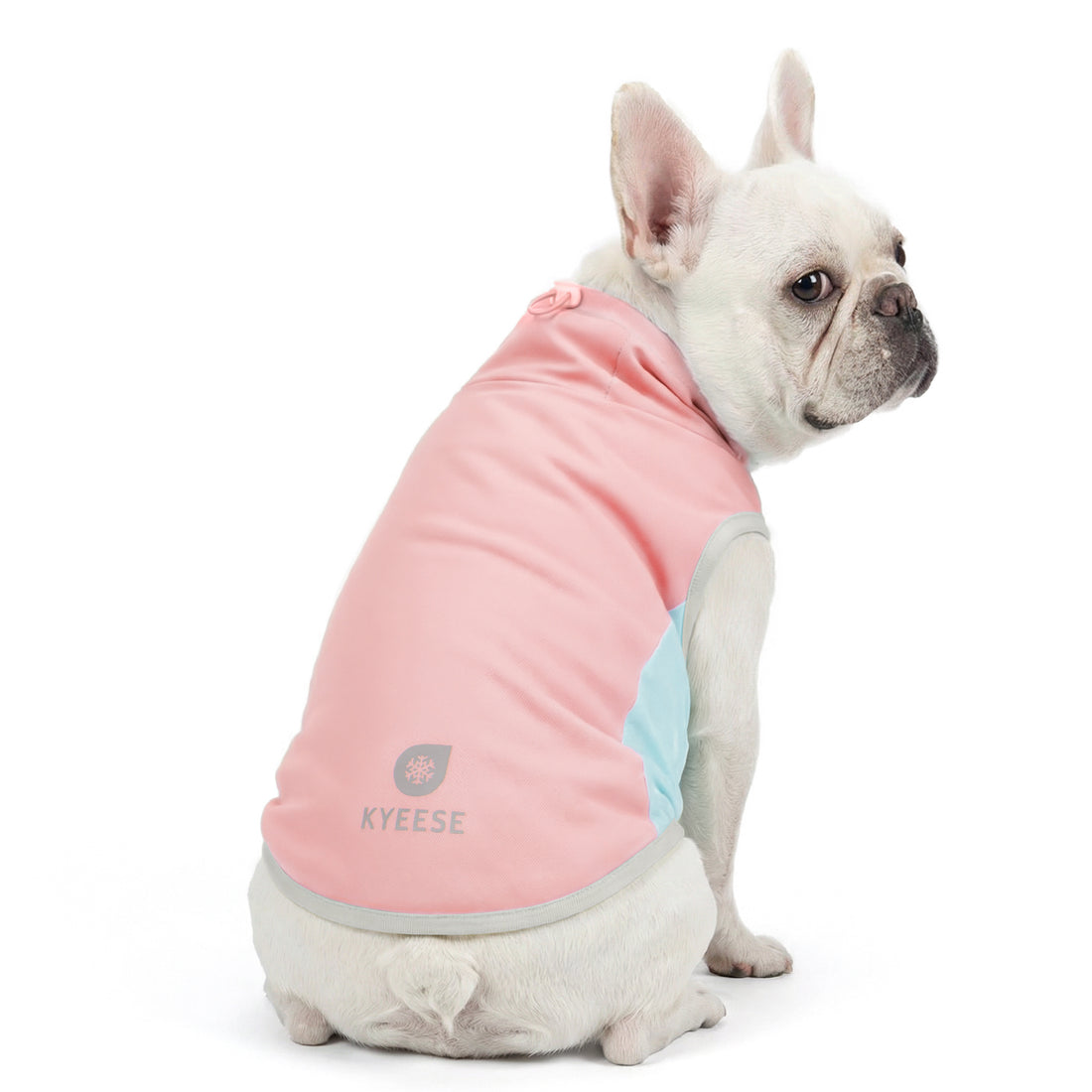 Lightweight cooling dog vest, pink with light blue side panels and leg opening
