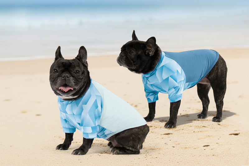 Stay cool, stylish and protected your dog’s perfect spring and summer outfit guide.