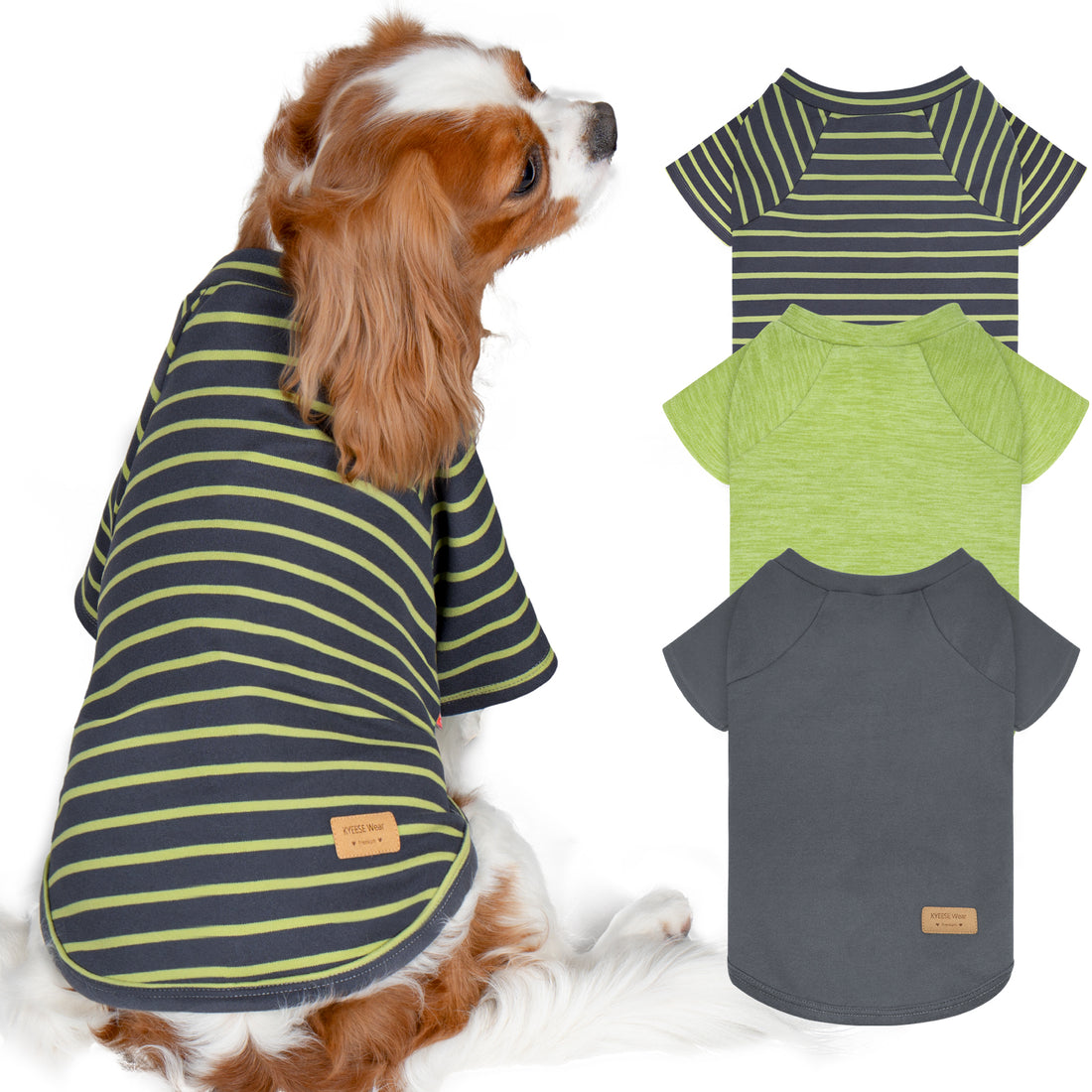 Dog raglan sleeve shirt set in navy-and-lime stripes, lime green, and charcoal gray