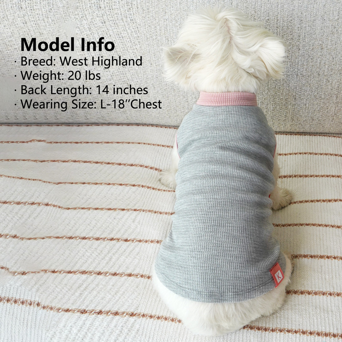 Dog waffle shirt in light blue and gray, ribbed round neck, elastic belly