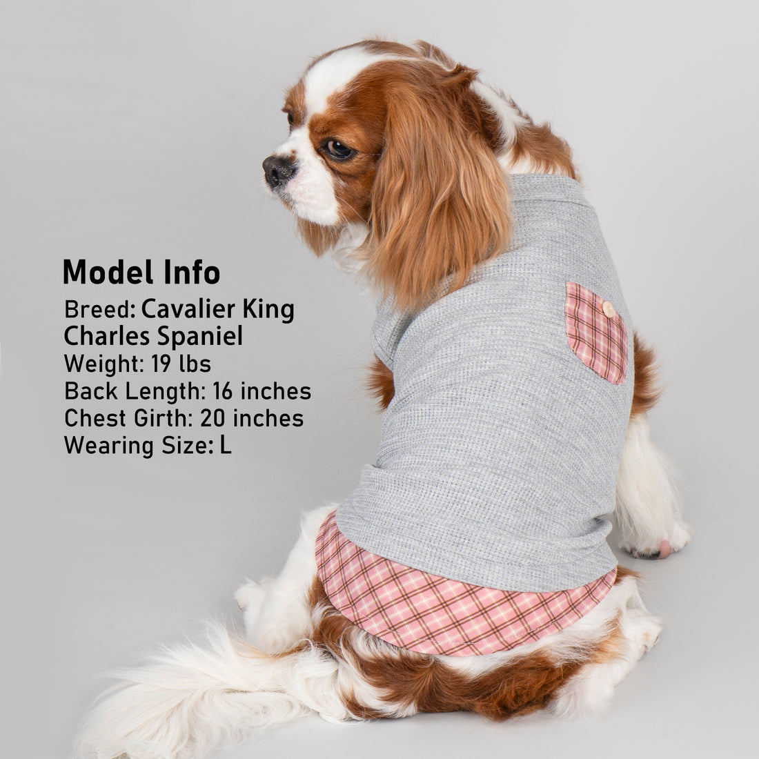 Grey sleeveless dog shirt with pink plaid pocket and plaid hem