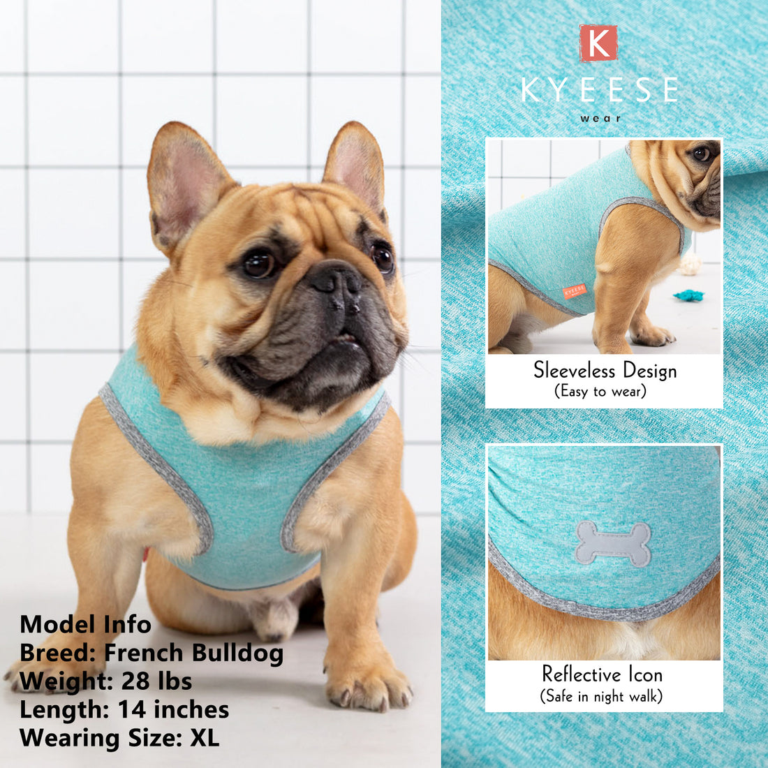 Teal sleeveless dog shirt with bone emblem on tan French bulldog, close view